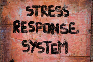 Blog Image: Is Your Stress Response System Permanently Engaged?  