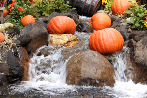Blog Image: Water Rich Holiday Foods Can Help You Stay Hydrated
