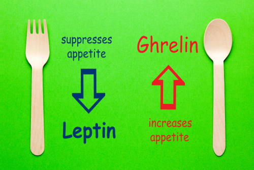Blog Image: Exercise Can Boost Leptin Hormone Levels
