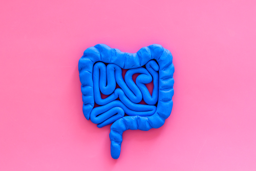 Blog Image: Gut Inflammation Triggers Weight Gain