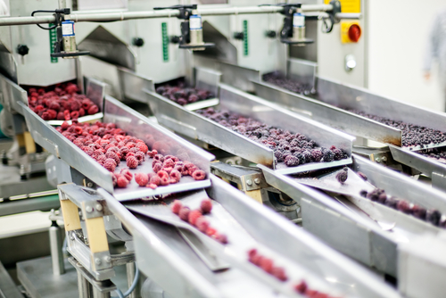 Blog Image: Dried Fruits Have Similar Nutrients to Fresh Fruit
