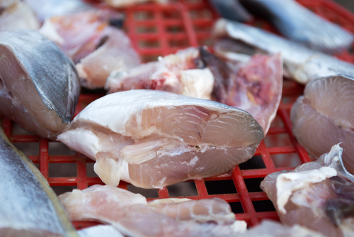 Blog Image: Seafood Is Often Minimally Processed for Packaging