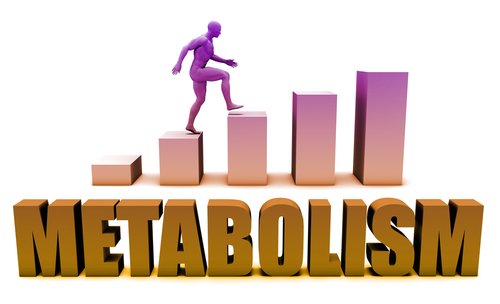 Blog Image: PV-1 Gene Unlocks Metabolic Plateaus