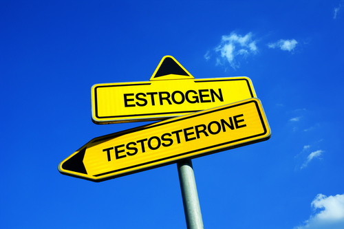 Blog Image: Hormone Balance Is Important for Both Sexes