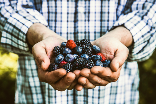 Blog Image: Berries Make for Weight Loss Friendly Snacks or Sides