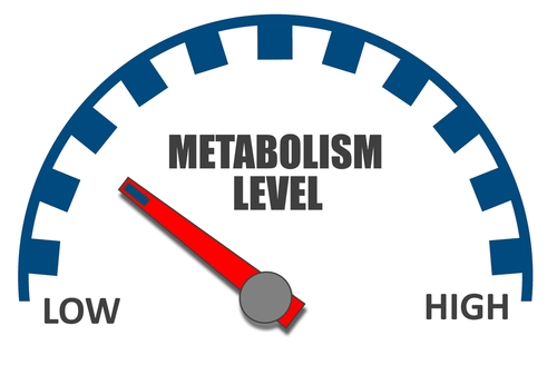 Blog Image: Fad Diets Slow Your Metabolism Causing Weight Regain