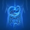Blog Image: Protein First Vegetables to Boost Metabolic Health