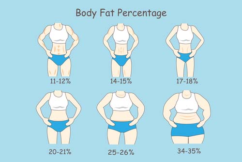 Biggest Loser Percentage Weight Loss Chart